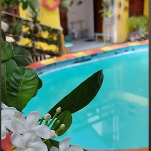 https://porto-caja.portodegalinhashotels.com